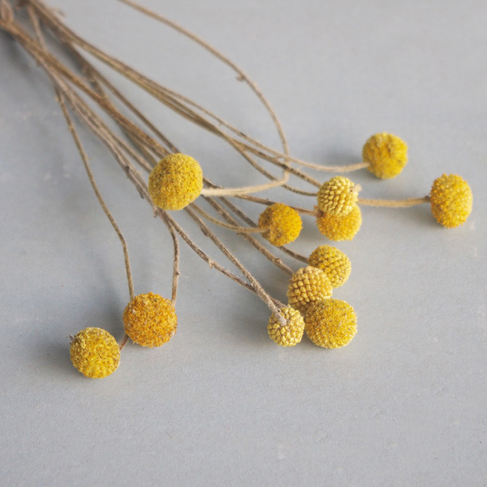 Dried Flower Bunch - 20 шт. натуральные сушеные букеты цветов