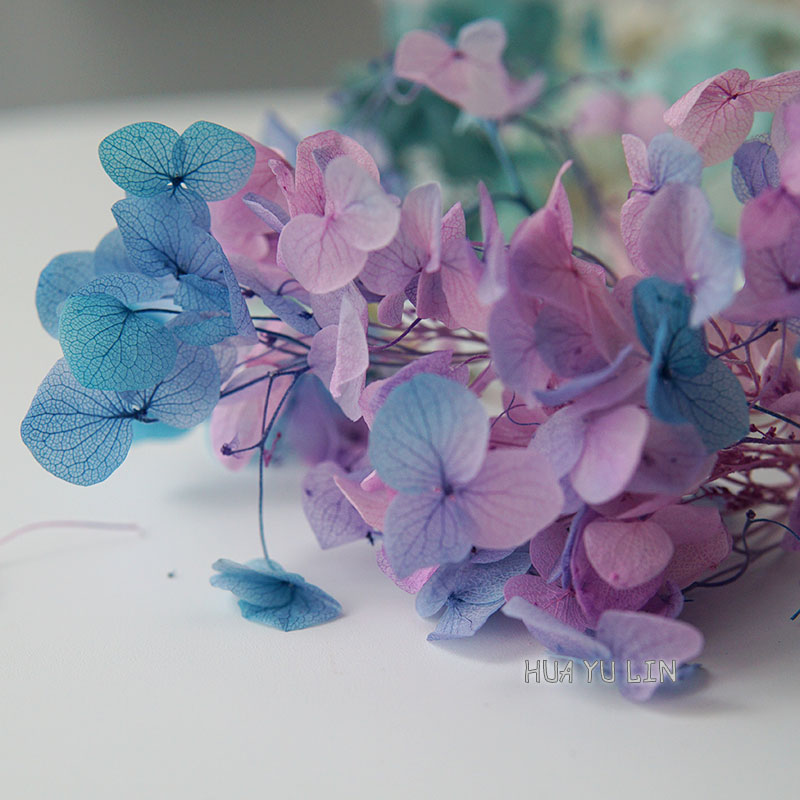 Dried Flower Bunch - Сухоцветы гортензии с эффектом омбре для