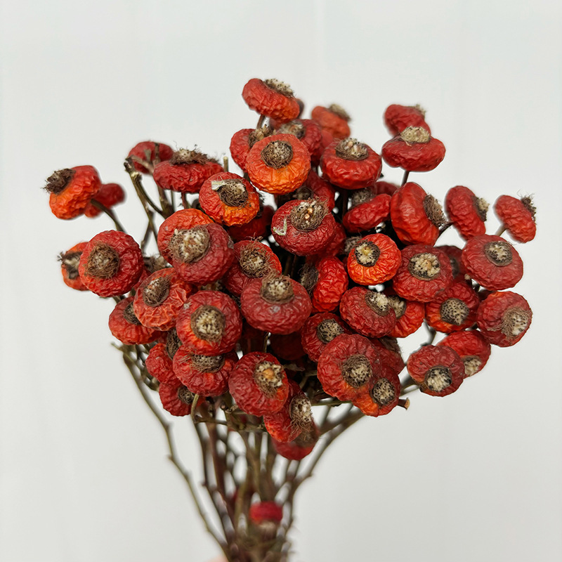 10 шт./пучок, сушеные цветы ши – обзор и цена Dried Flower Bunch