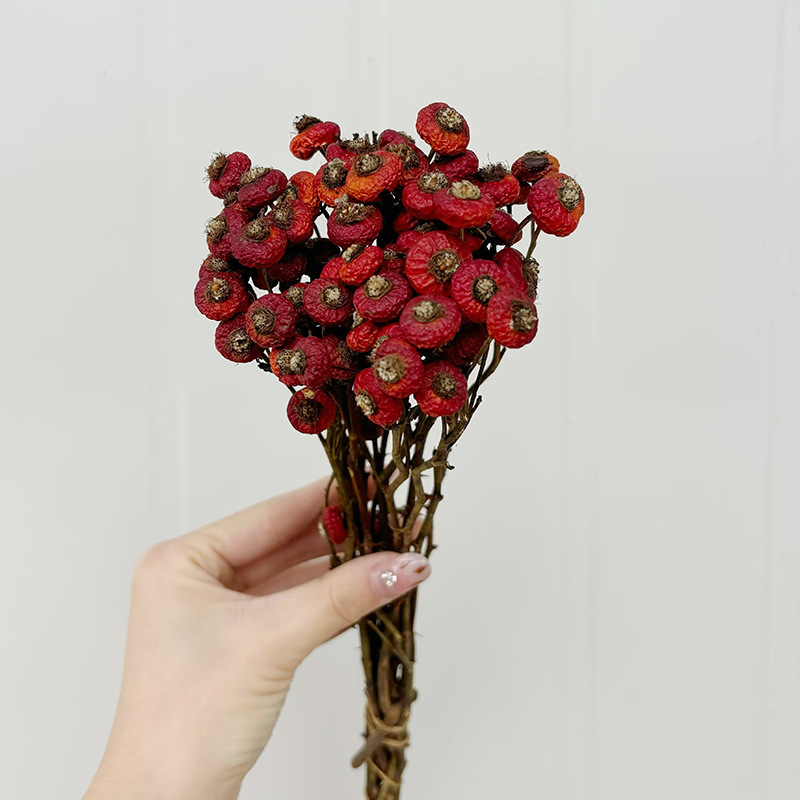 10 шт./пучок, сушеные цветы ши – обзор и цена Dried Flower Bunch