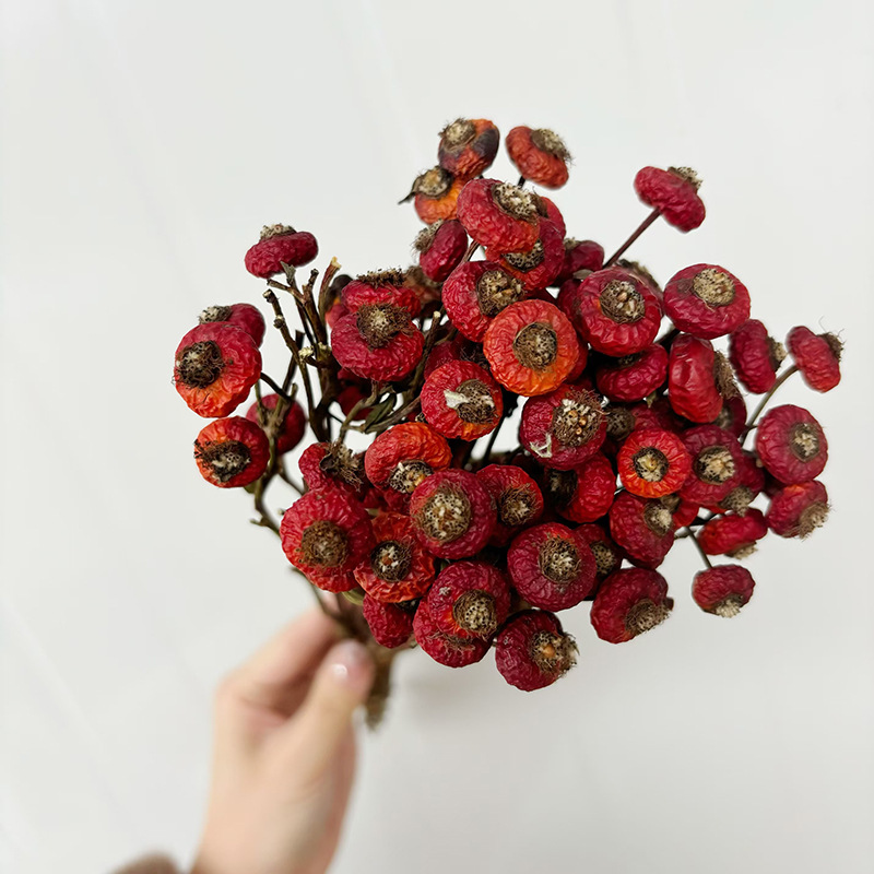 10 шт./пучок, сушеные цветы ши – обзор и цена Dried Flower Bunch