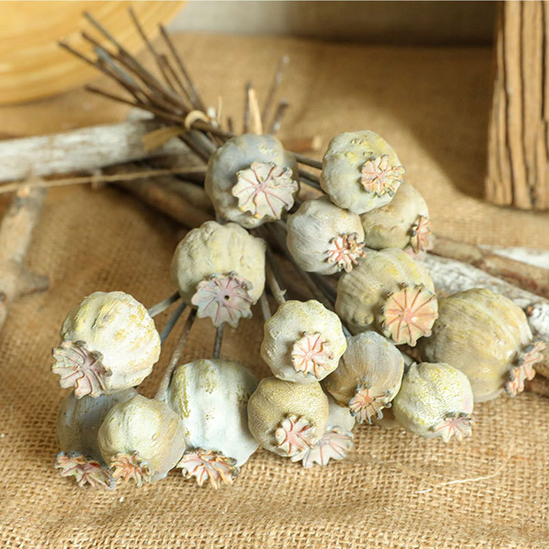 6 бутонов мака фрукты сушеные  – обзор и цена Dried Flower Bunch