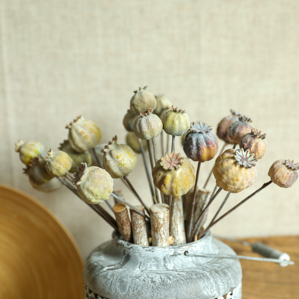 6 бутонов мака фрукты сушеные  – обзор и цена Dried Flower Bunch
