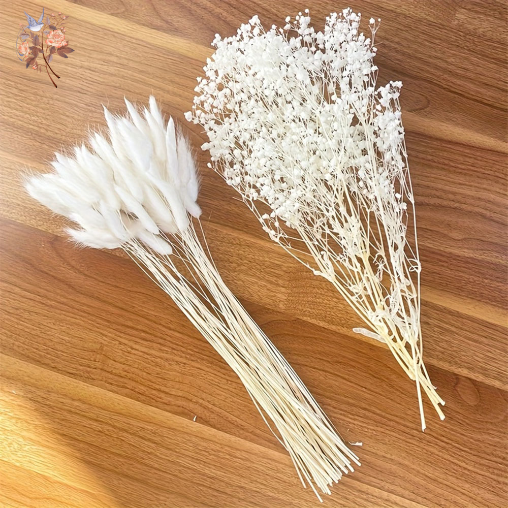54 шт., белые сушеные цветы, с – обзор и цена Dried Flower Bunch