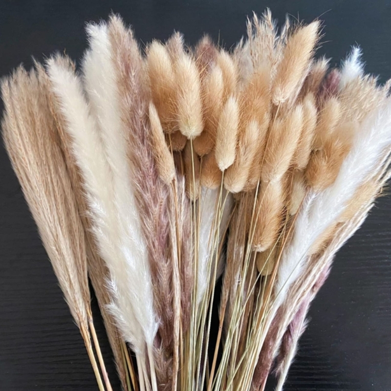 Массовая партия, 100 шт., суше – обзор и цена Dried Flower Bunch