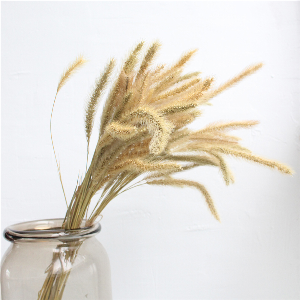 200 шт., натуральные сушеные б – обзор и цена Dried Flower Bunch