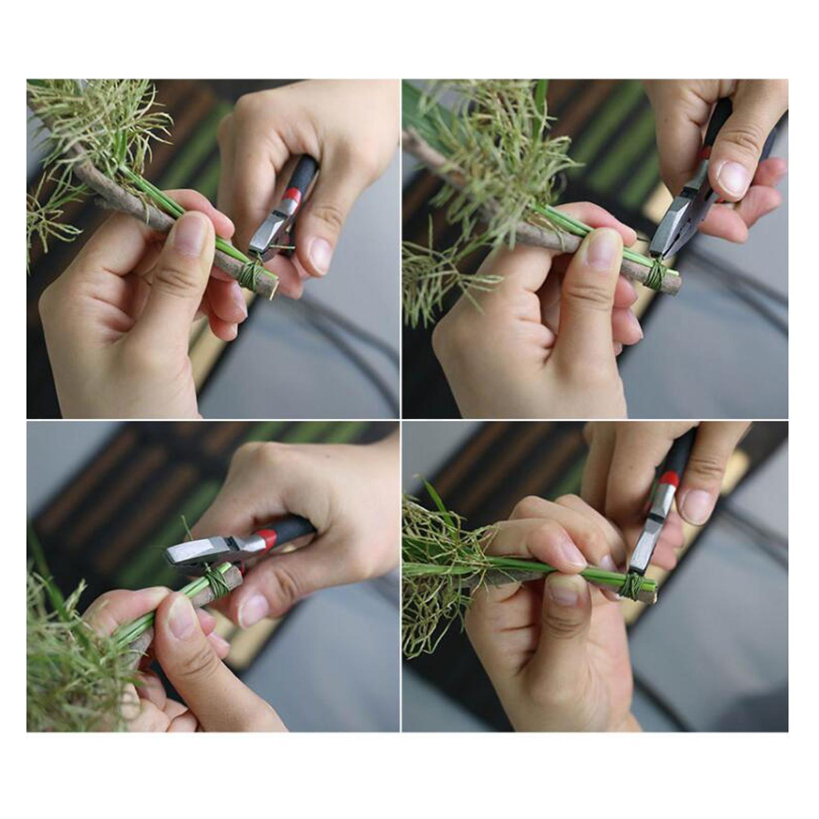 100 шт. флористической проволо – обзор и цена Wire Stem Florist